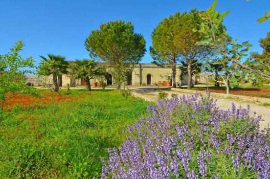 Property in the countryside in Salento