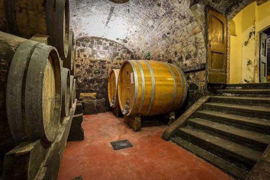 Wine cellar dated back to the XI Century