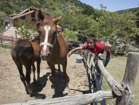 Gospodarstwo ze zwierzętami na Sycylii niedaleko Mesyny