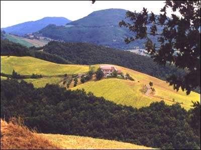 External view