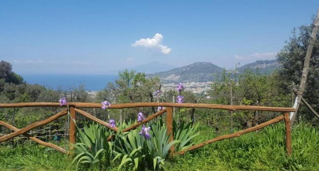 Farmhouse with view in Campania