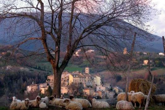 Surroundings - Tarano