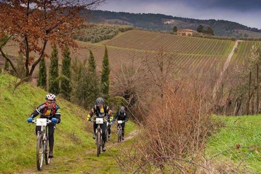 B&B com ciclovias
