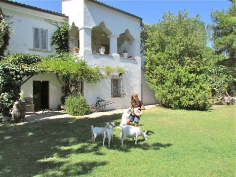 Farmhouse with educational farm in Abruzzo