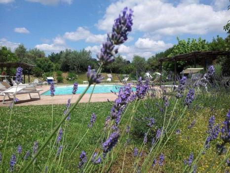 Плавательный бассейн