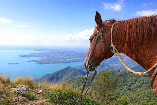Farmhouse with horse riding excursions on Lake Garda