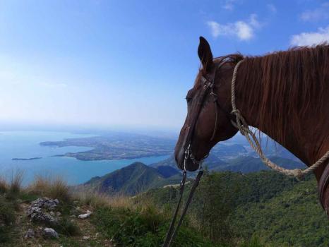 Farmhouse with horse riding excursions on Lake Garda