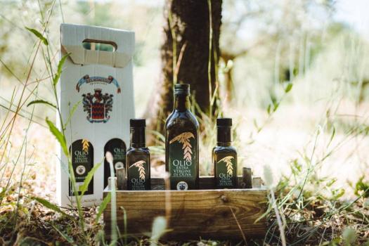 Økologisk gårdshus nær Siena med produksjon og salg av toskansk ekstra virgin olivenolje