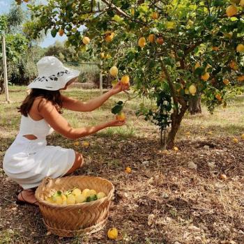 Produtos orgânicos da Apúlia