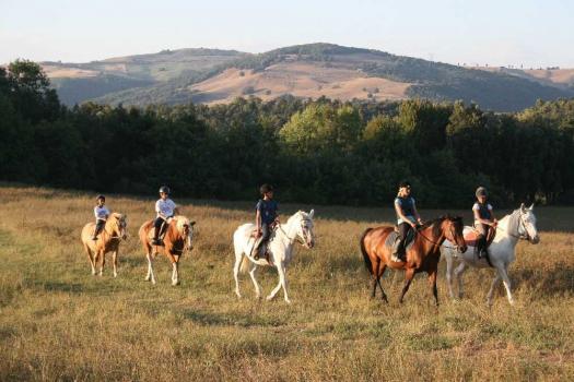 Horse Riding