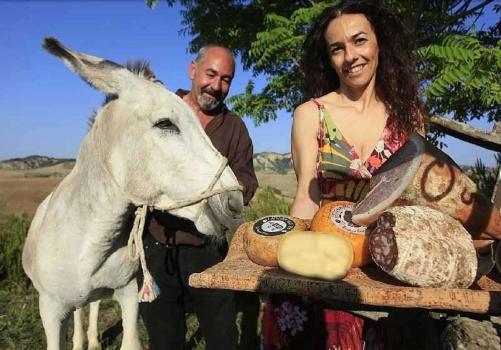 Boerderij met productie en verkoop van kazen en typische producten in Volterra